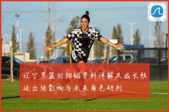 辽宁男篮刘相韬资料详解及成长轨迹出场影响与未来角色研判